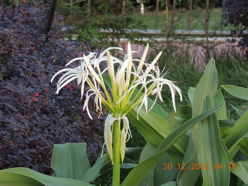 2013 vacation 190_.jpg