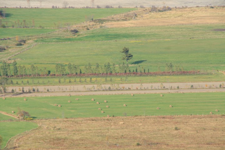 _MG_1613 (Small).JPG