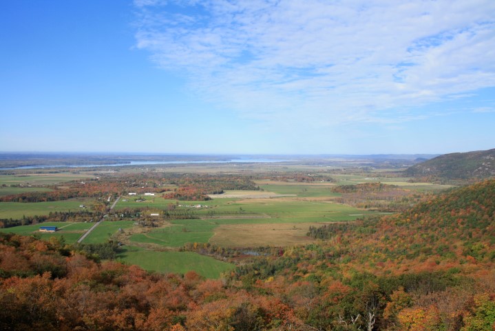 _MG_1615 (Small).JPG