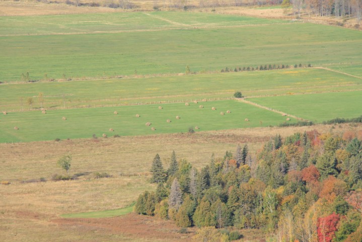 _MG_1614 (Small).JPG