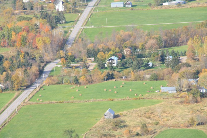 _MG_1612 (Small).JPG