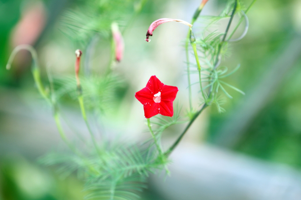 _MG_79202013-10-20.JPG
