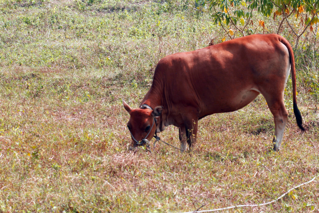 _MG_67702013-10-19.JPG