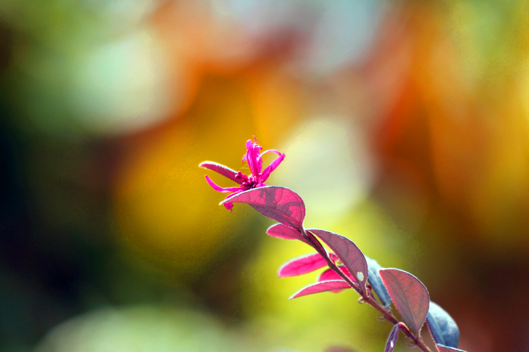 _MG_83542013-10-20.JPG
