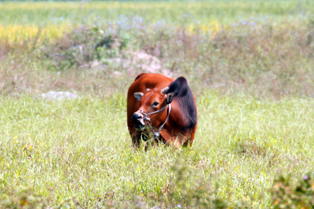 _MG_68092013-10-19.JPG