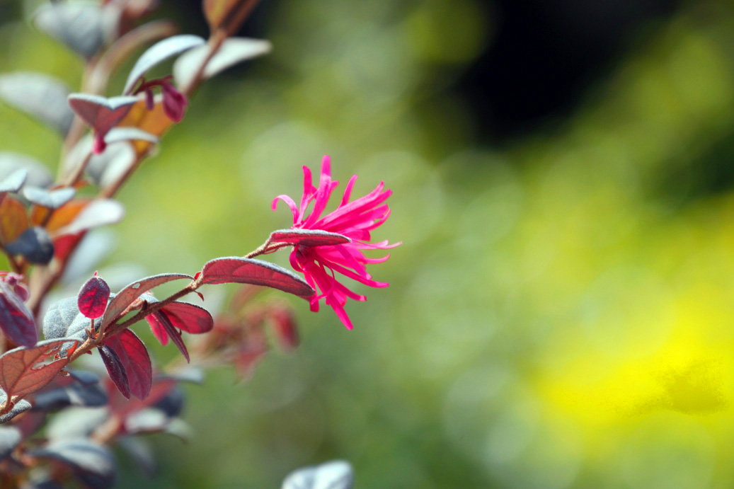 _MG_83502013-10-20.JPG