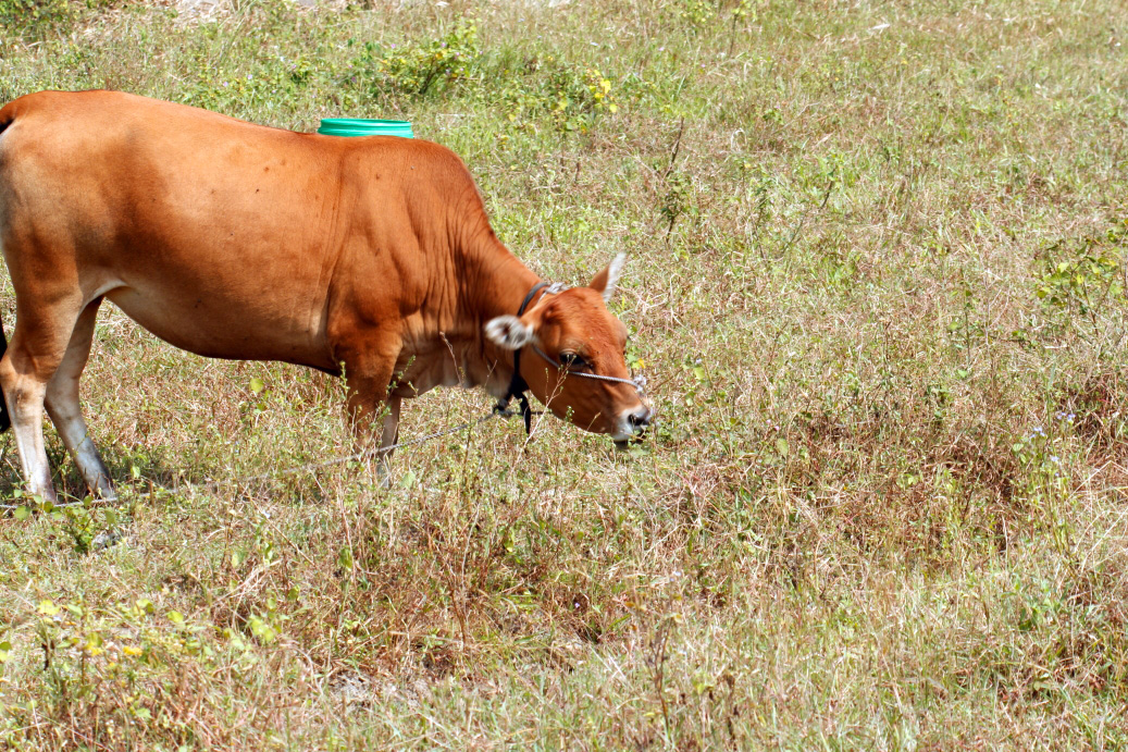 _MG_67972013-10-19.JPG