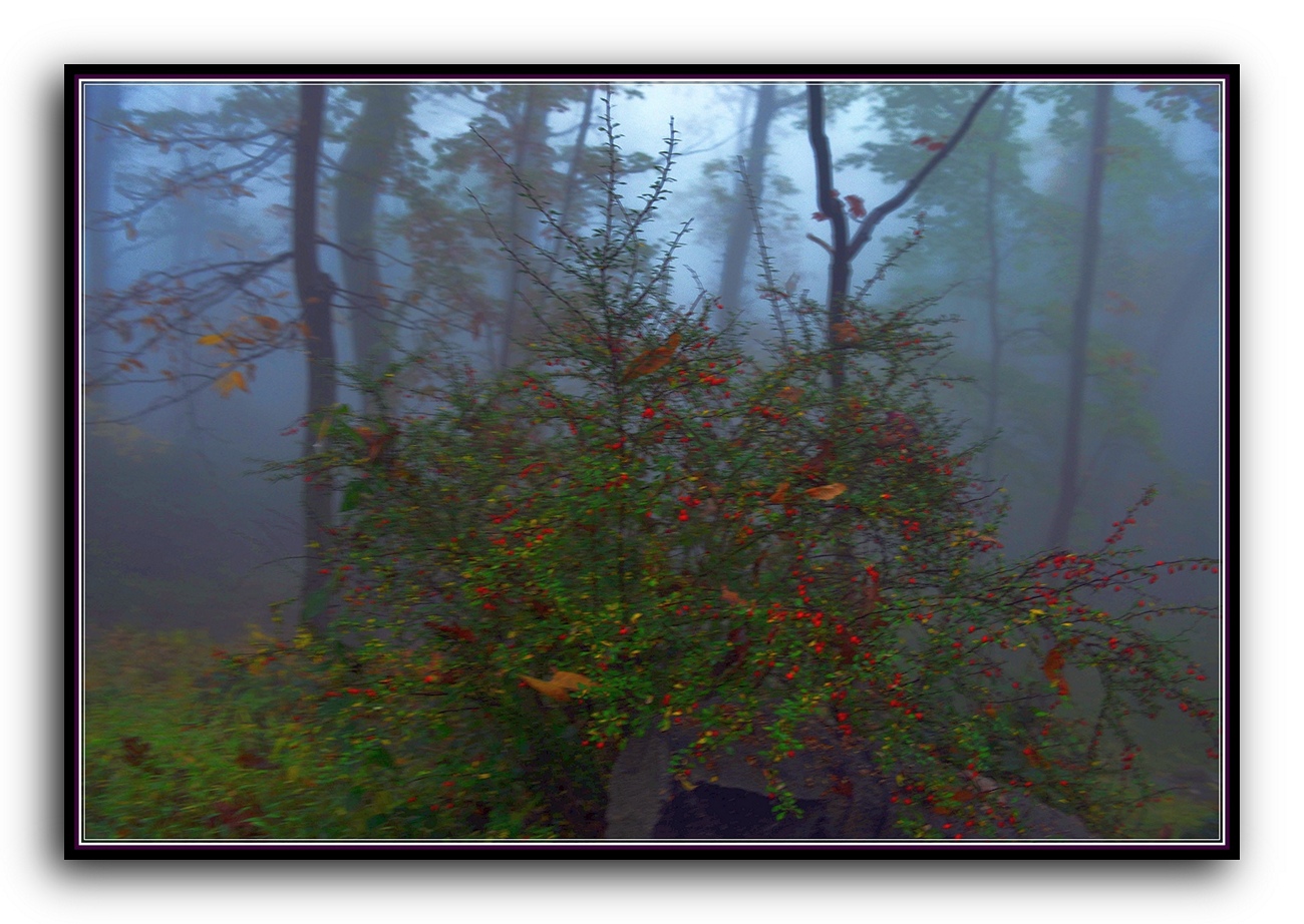 DSC_2632.jpg