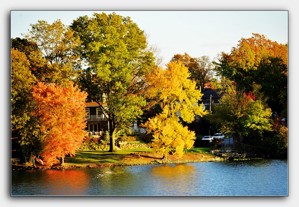 DSC_4372.jpg