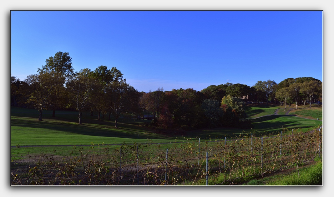 DSC_4240.jpg