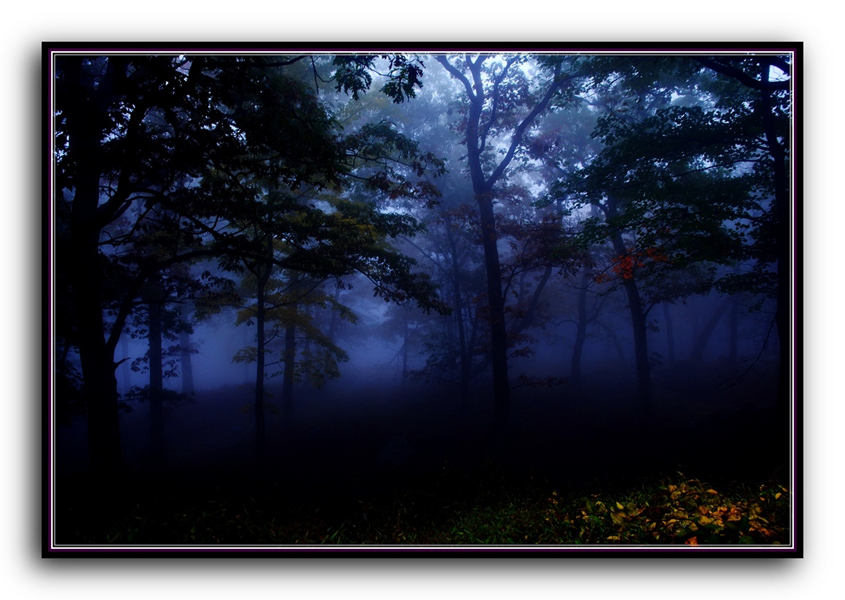 DSC_2606.jpg