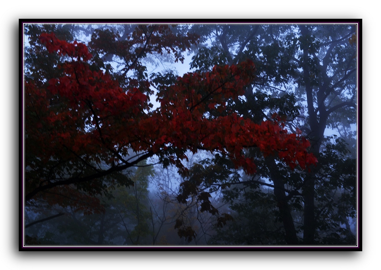 DSC_2621.jpg