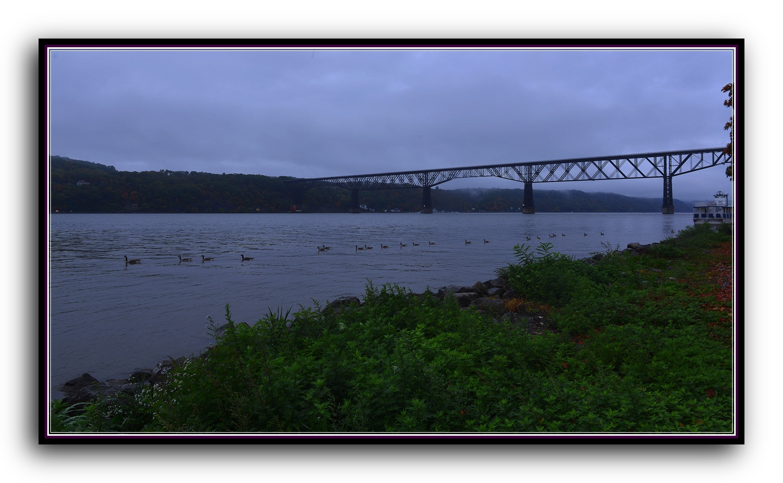 DSC_2665.jpg