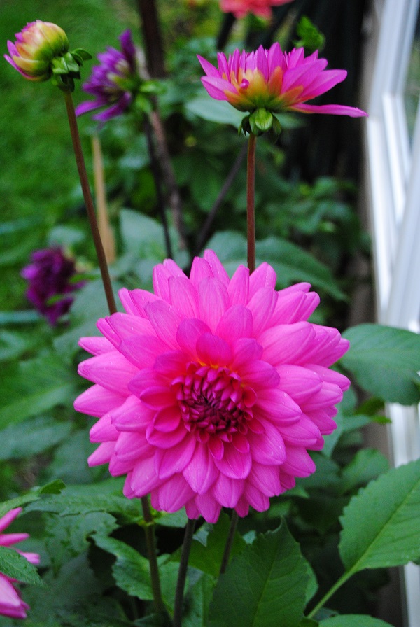 DSC_0005.jpg