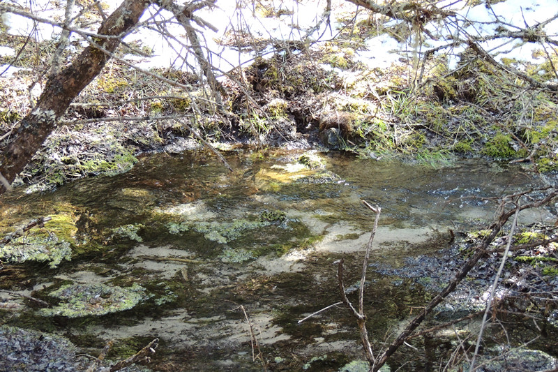 DSCN4721_.jpg