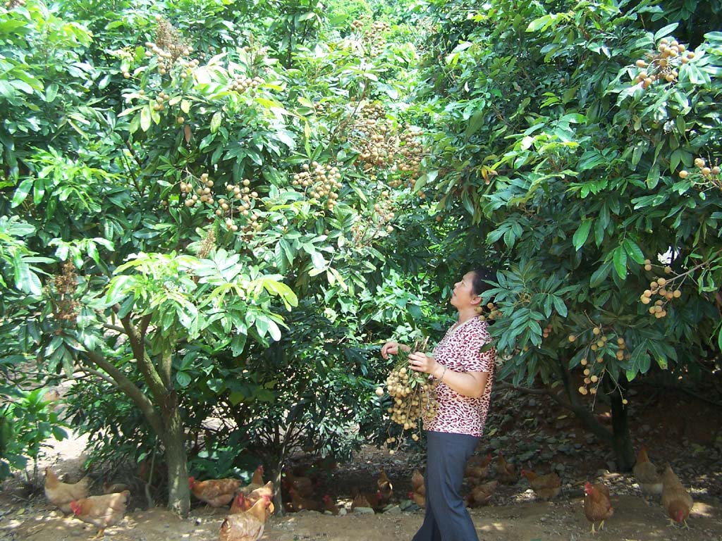 20060904175936[1].jpg