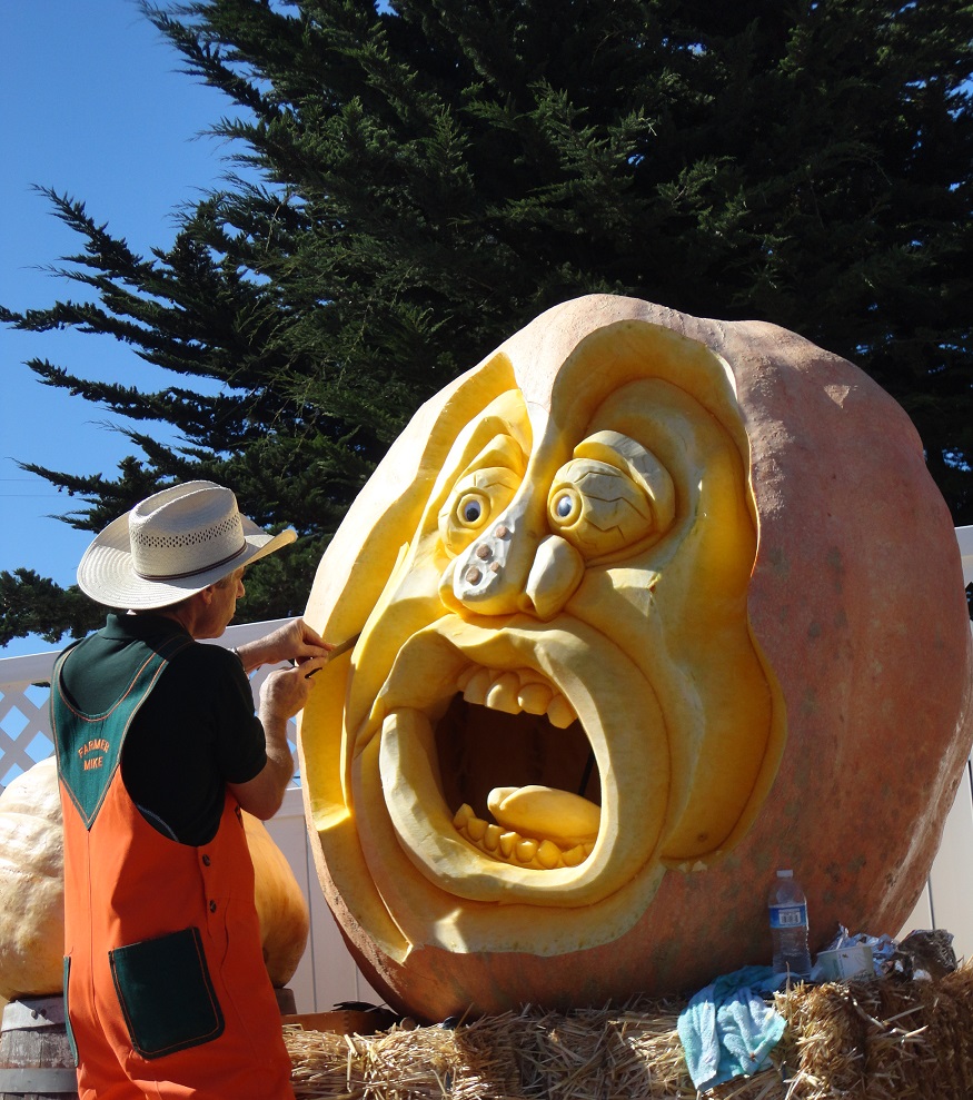 DSC03529-dz.jpg