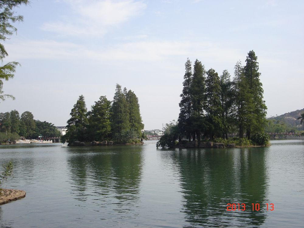 DSC04549.jpg