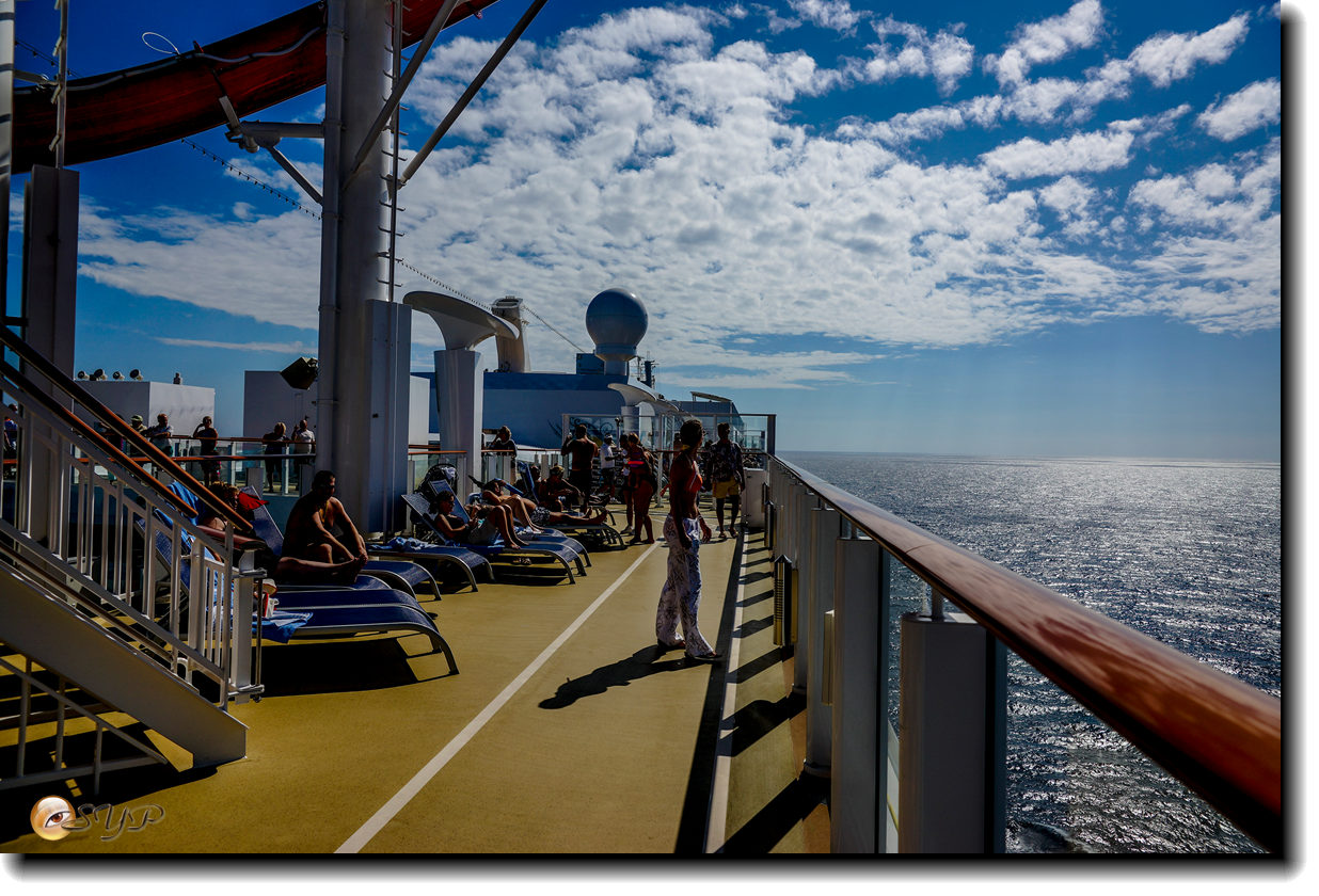 DSC05661_.jpg