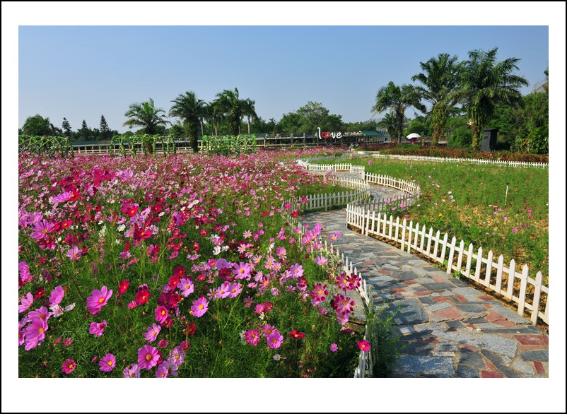 DSC_1475 - ����_conew1.jpg