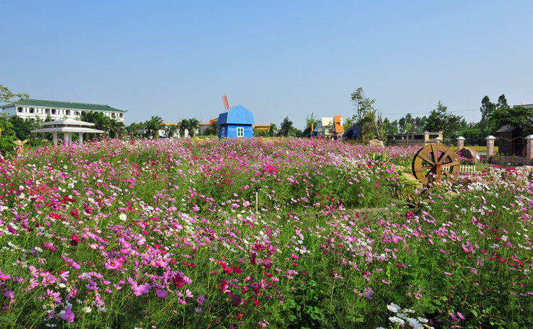 DSC_1467 - ����.JPG