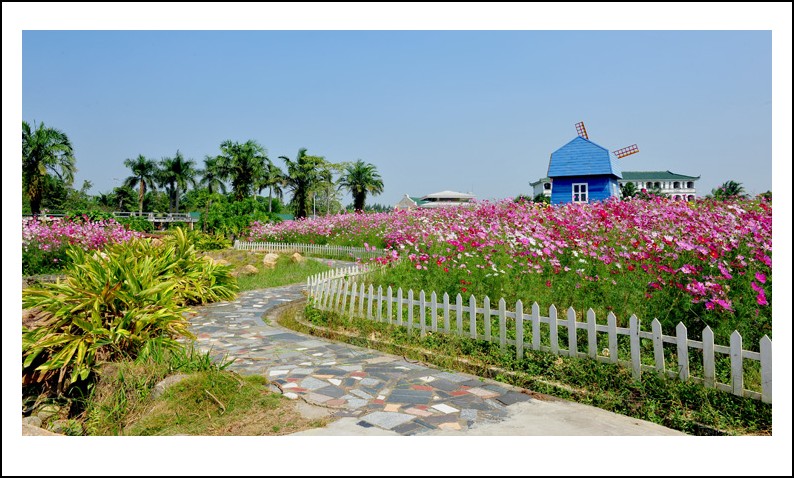 DSC_1418 - ����_conew1.jpg