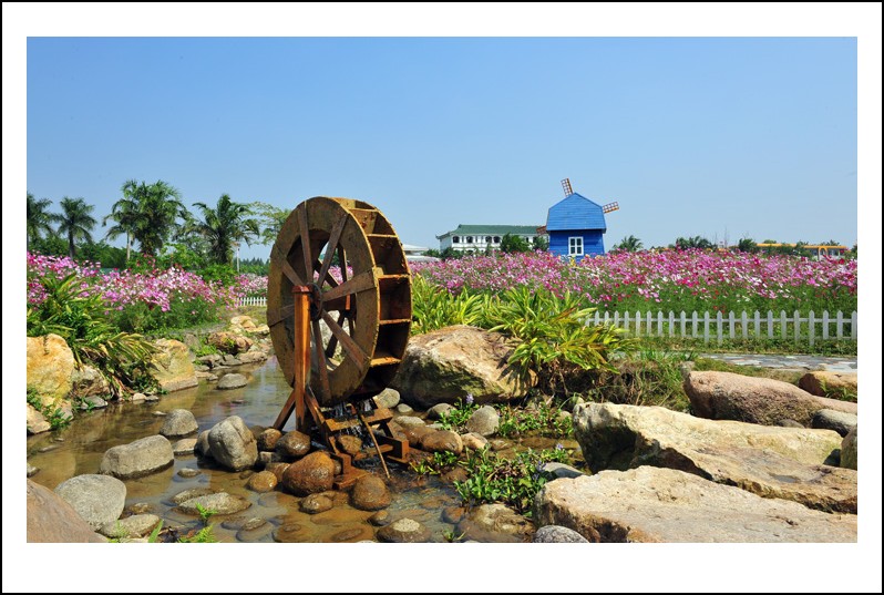 DSC_1417 - ����_conew1.jpg