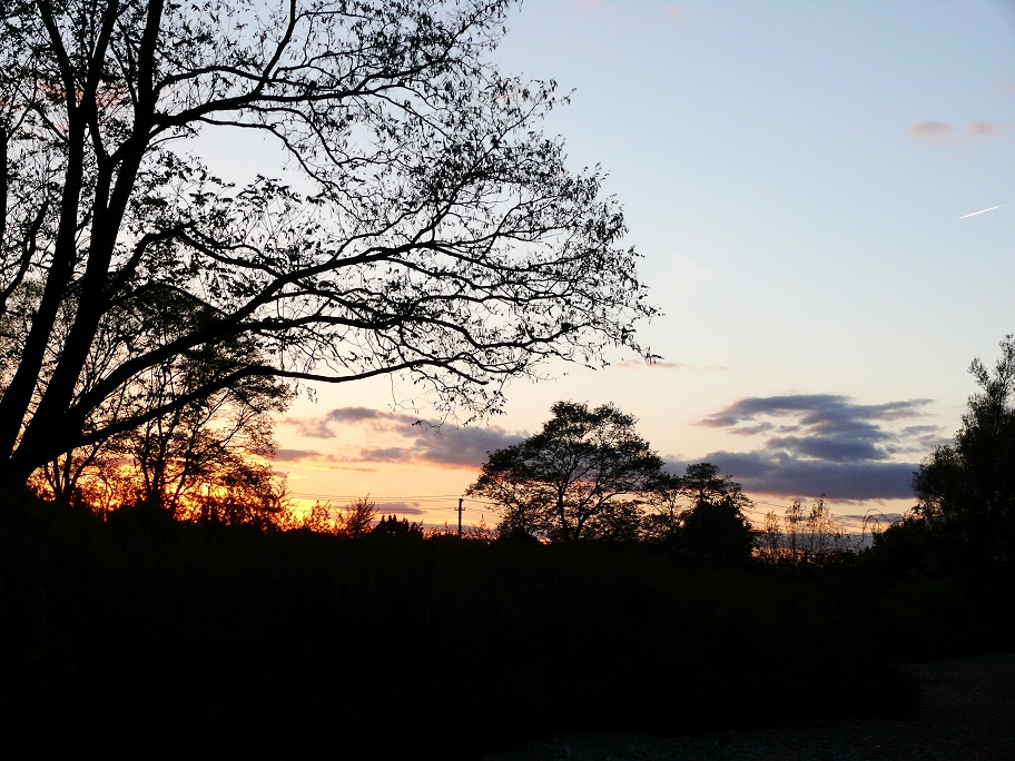 l1070840_conew1.jpg