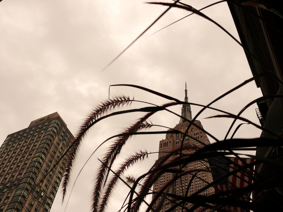 l1060566_conew1.jpg