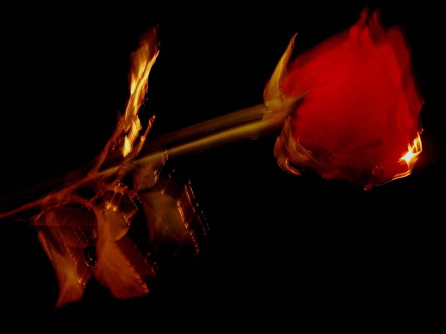 l1060387_conew1.jpg