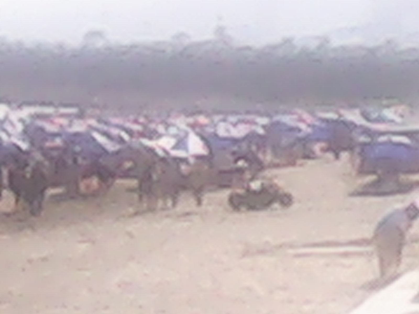 IMG_20131002_160450.jpg