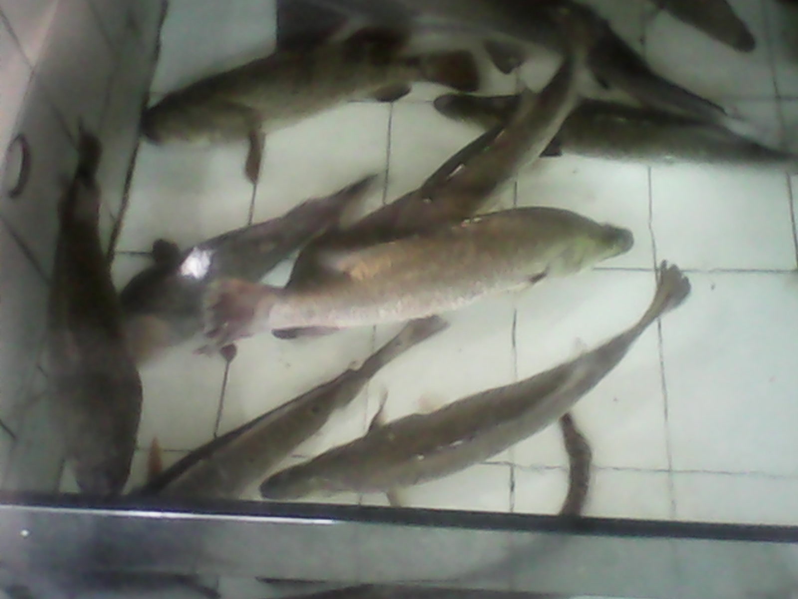 IMG_20131002_174221.jpg