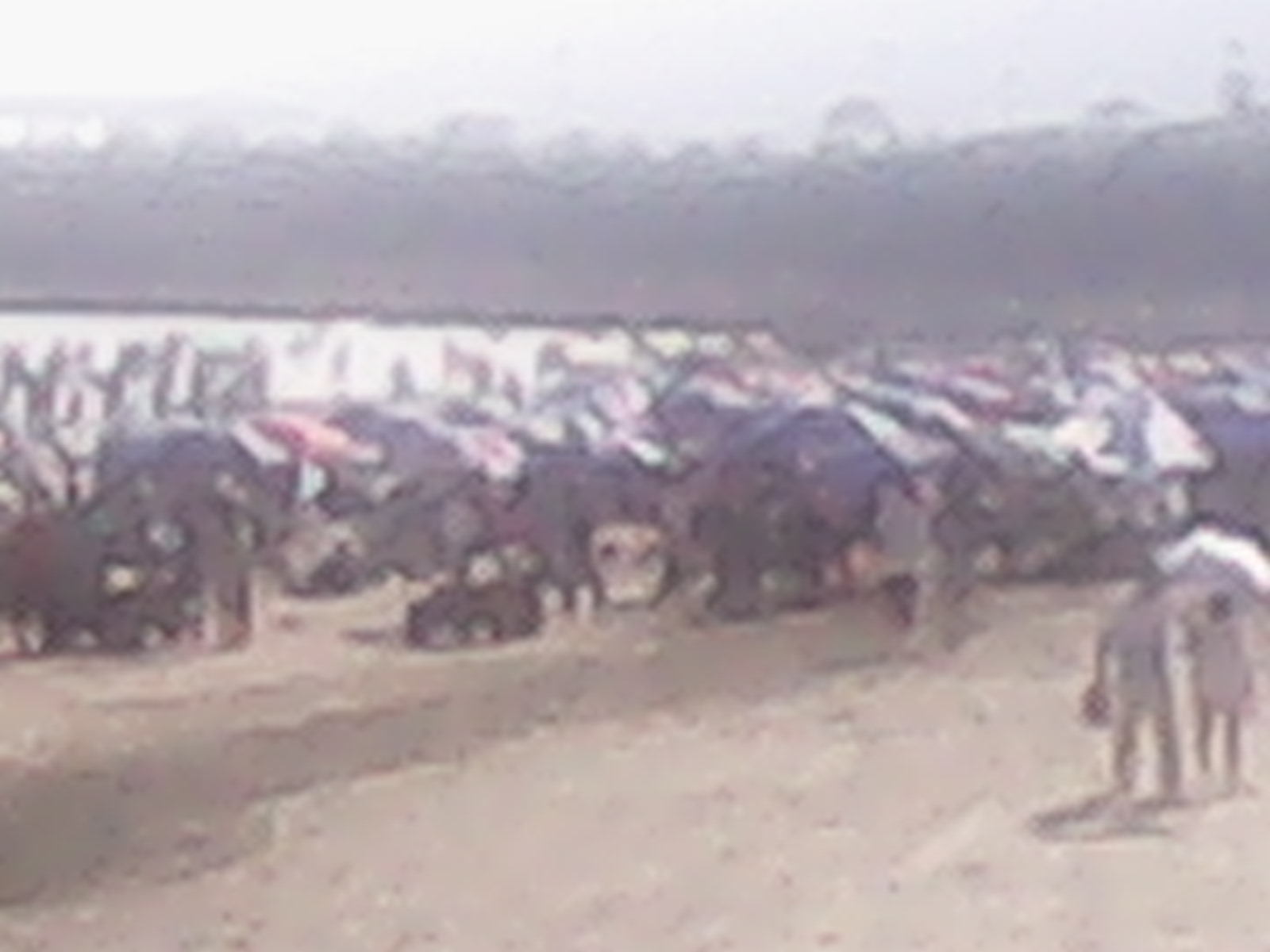 IMG_20131002_160442.jpg