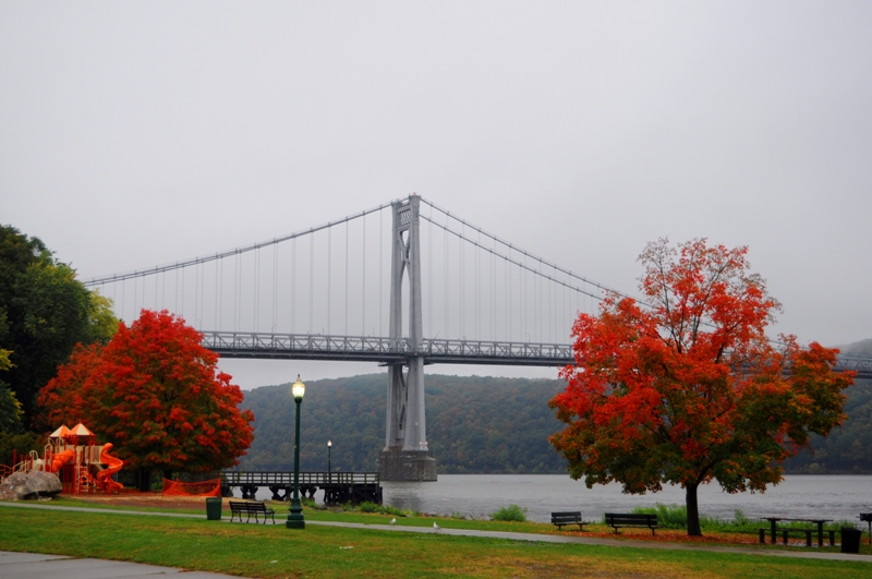 DSC_0121.jpg