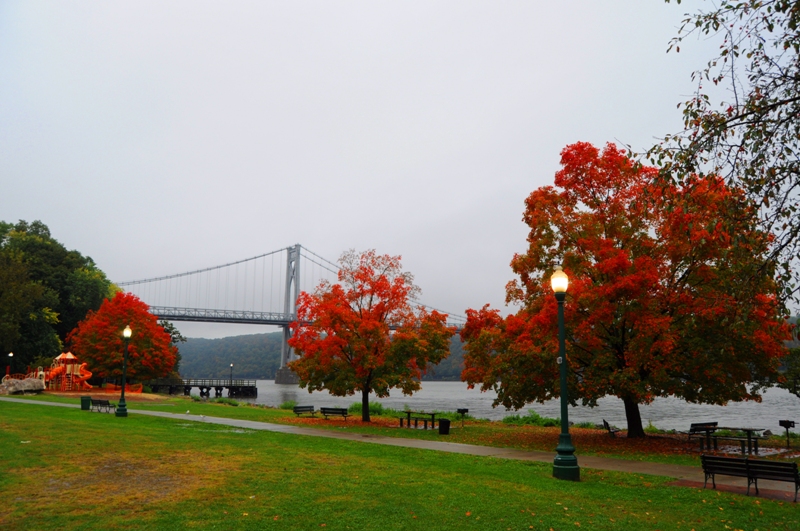 DSC_0122.jpg