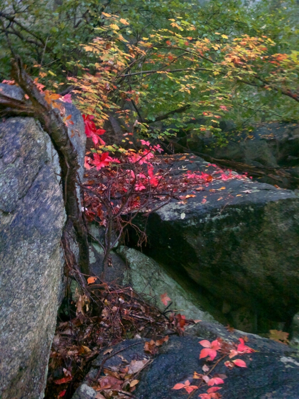 DSC_0062.jpg