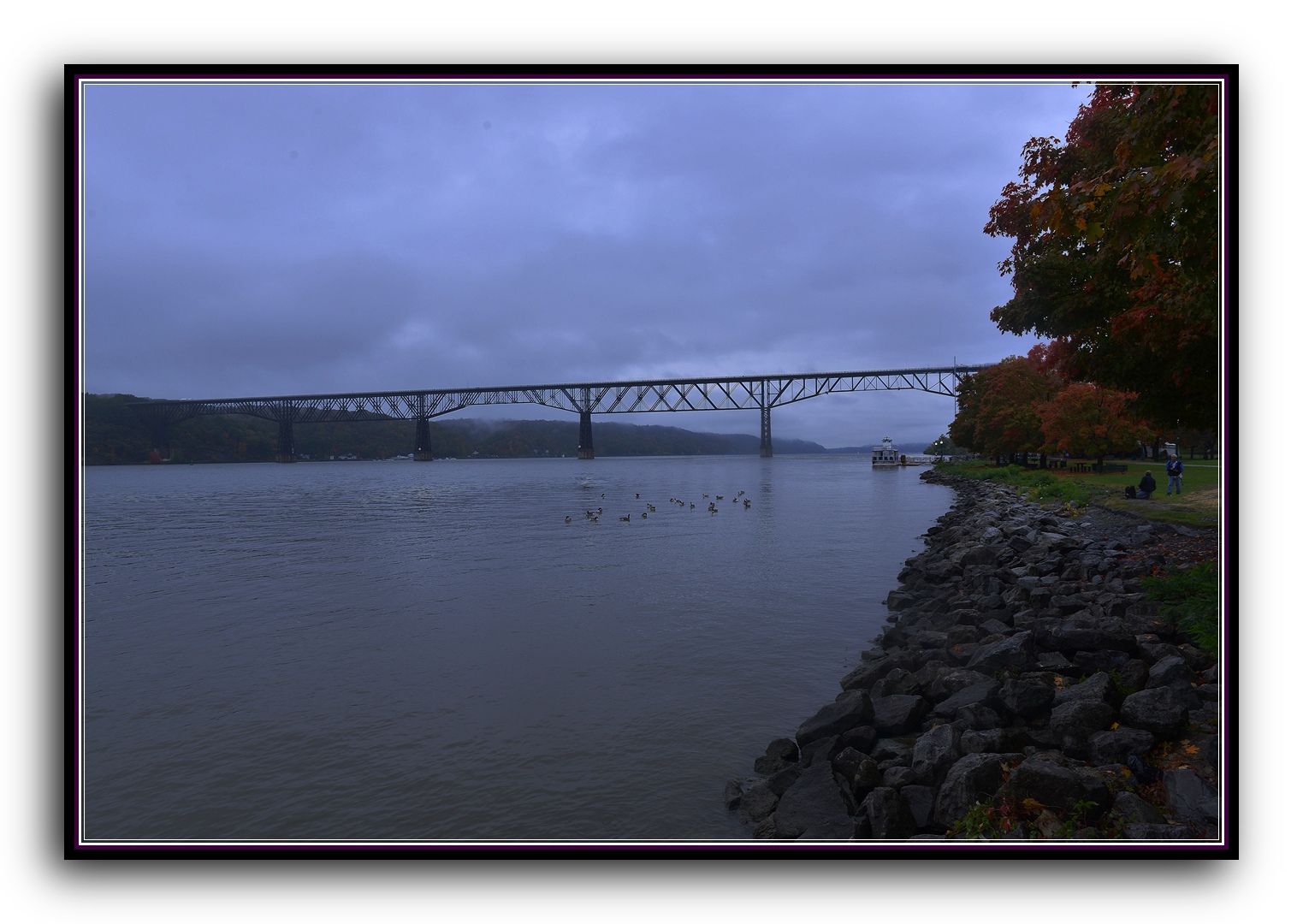 DSC_2676.jpg