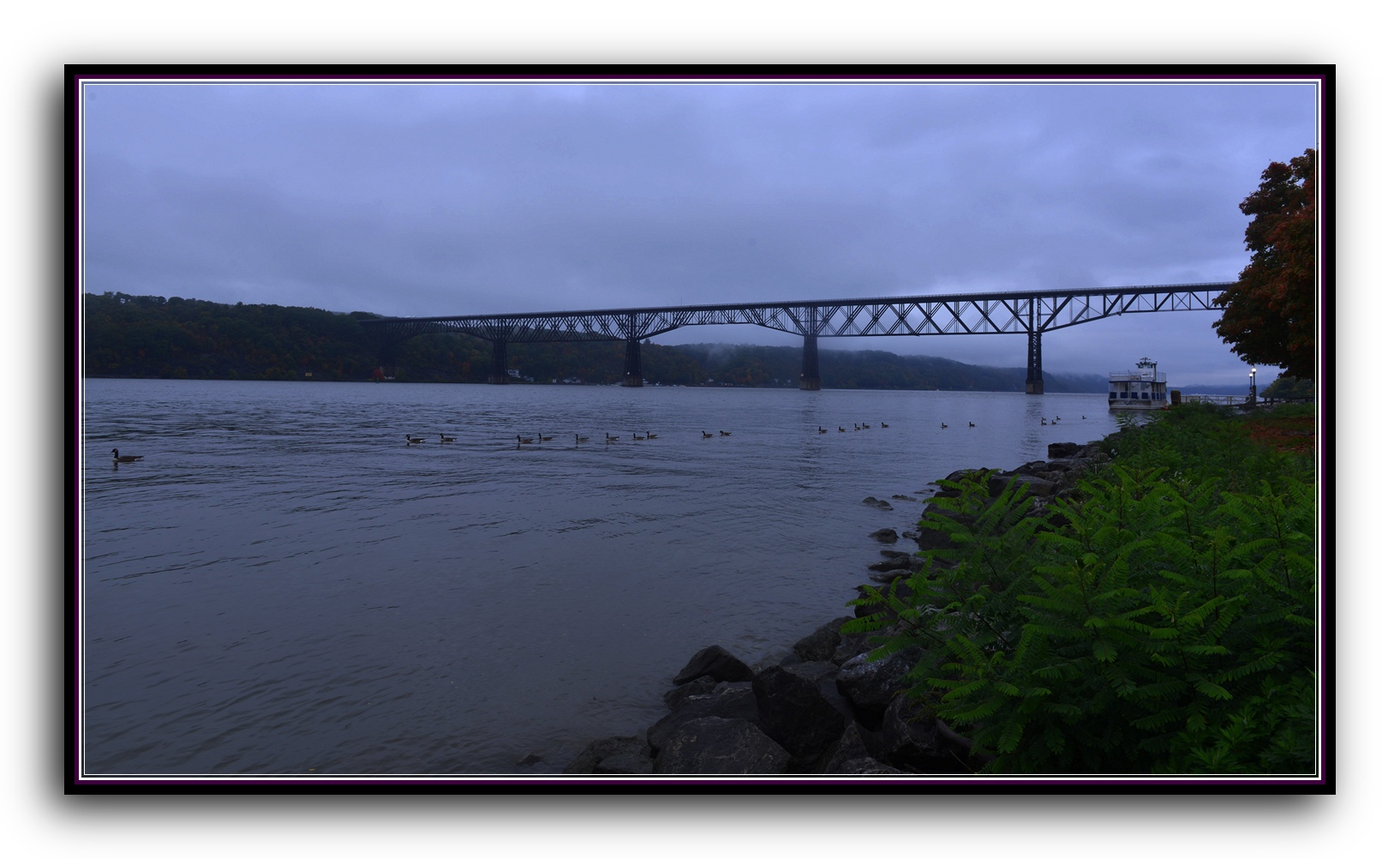 DSC_2667.jpg