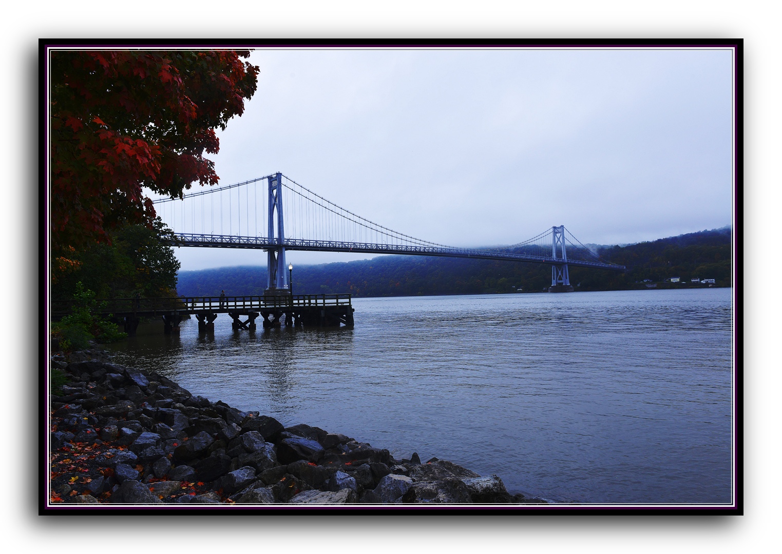 DSC_2673.jpg