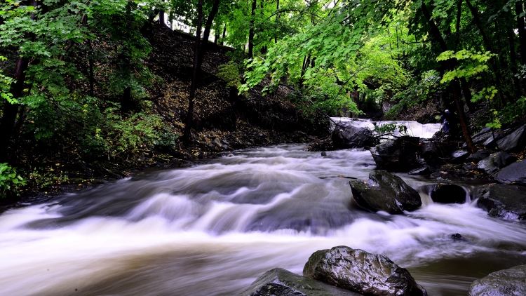 _DSC4984_01.JPG