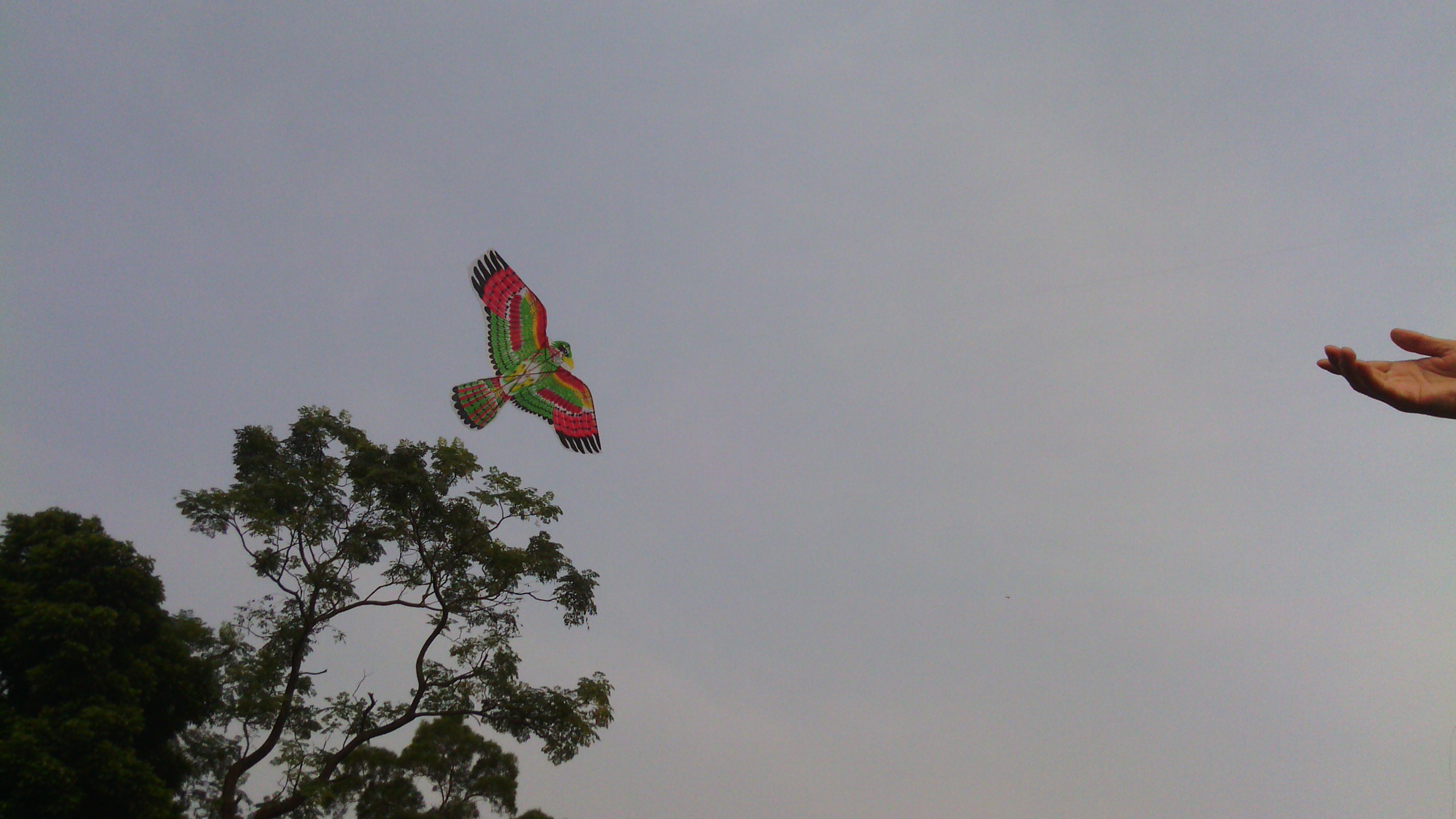 IMG_20131013_090320.jpg