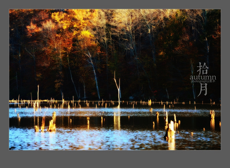 DSC_3363s.jpg