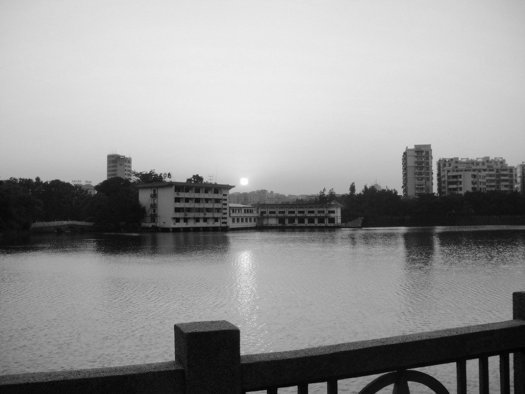 DSC09665__.jpg