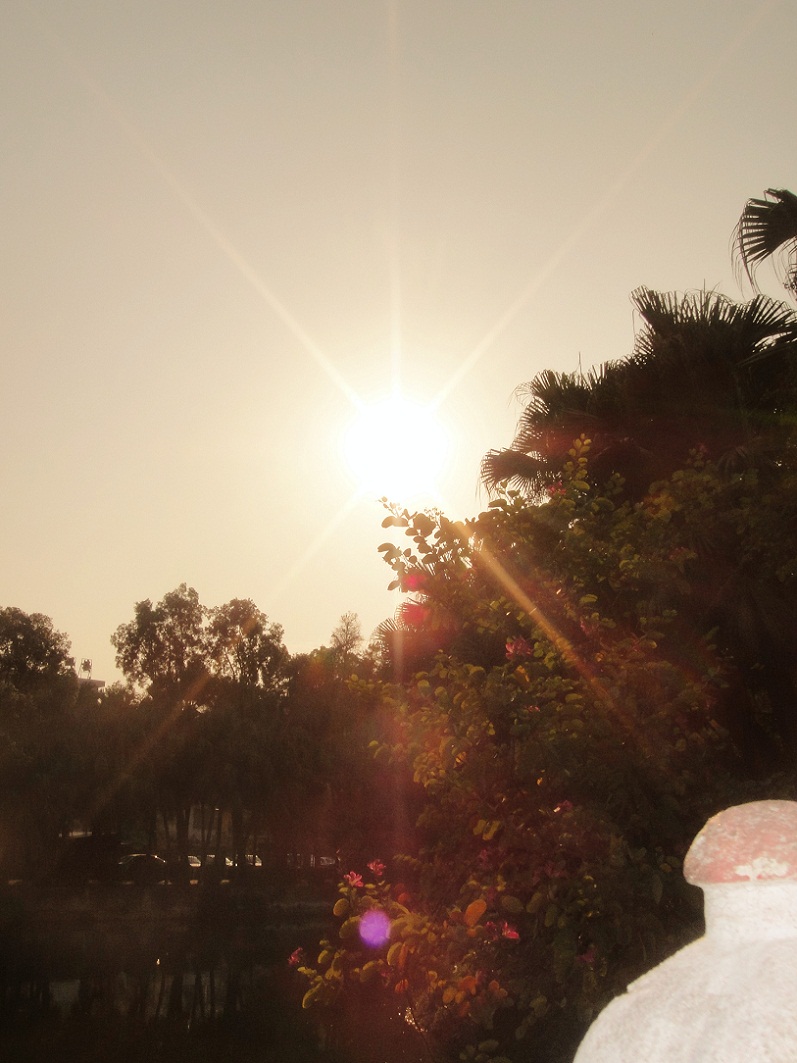 DSC09653_.jpg