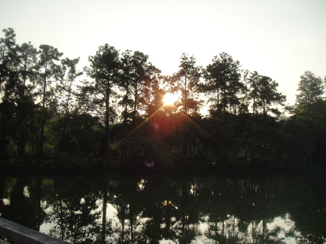 DSC08901.JPG