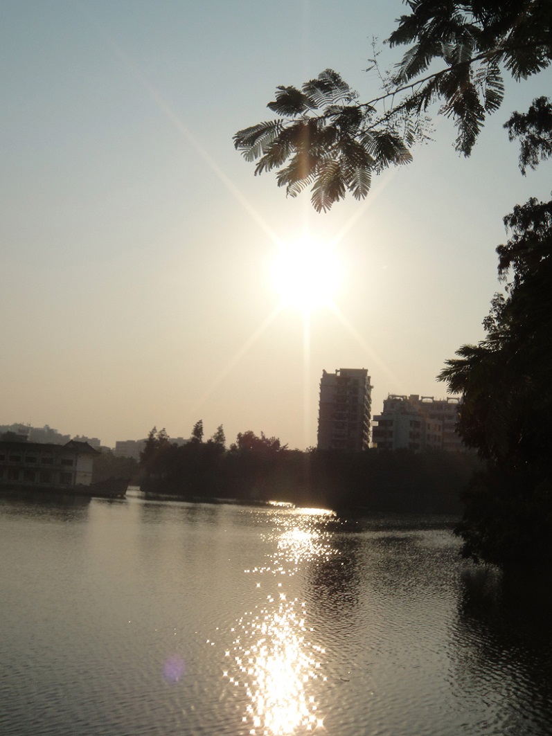DSC09651.JPG
