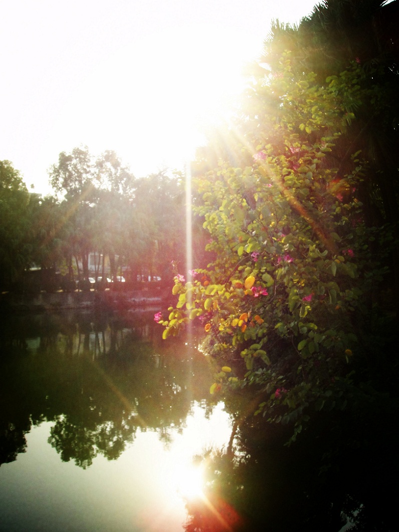 DSC09654_.jpg