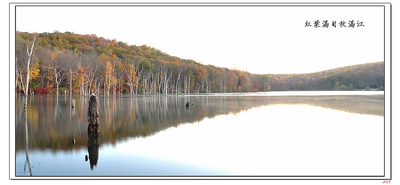 �ߺ�����ɫ 015-1.jpg