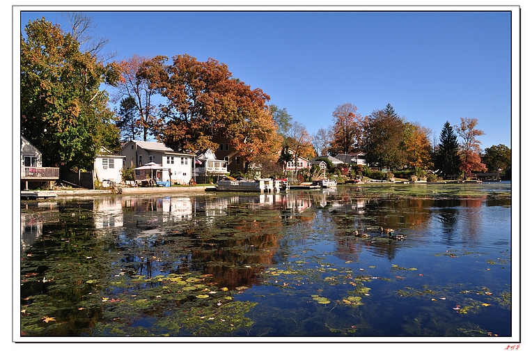 �ߺ�����ɫ 286-1.jpg