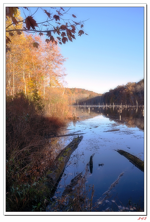 �ߺ�����ɫ 157-1.jpg